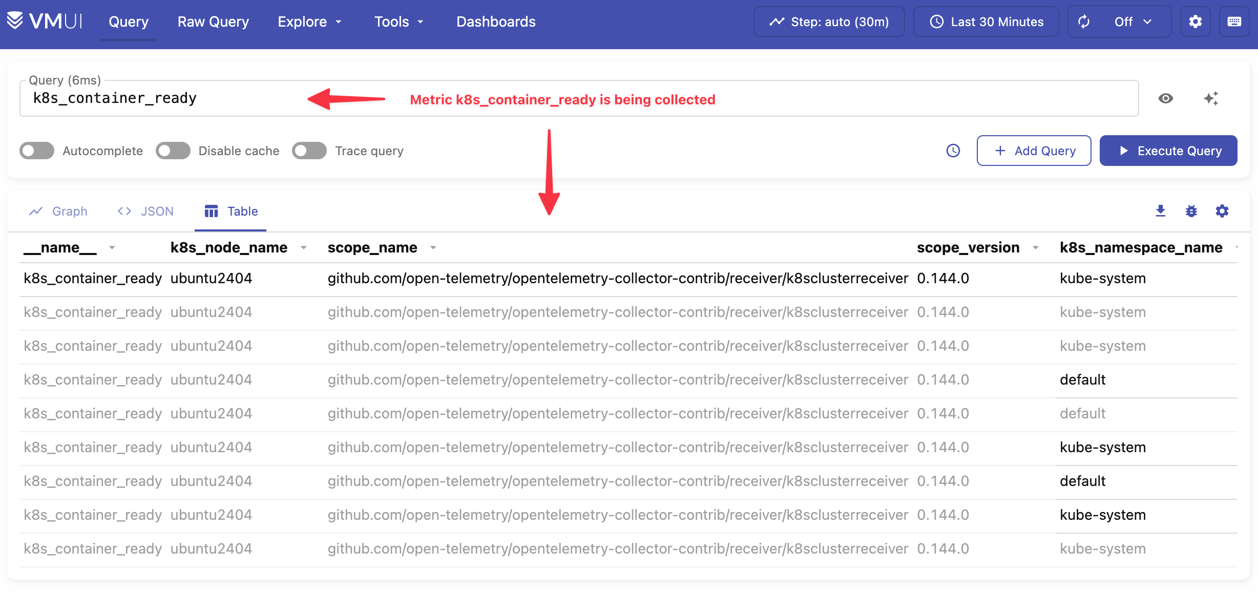 Screenshot of VMUI confirming that metrics are being collected